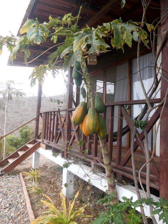 Maremonti Bed & Breakfast Puerto López Exterior foto